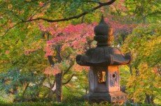 Temple Garden, Kyoto, Honshu, Japan 200366242-001