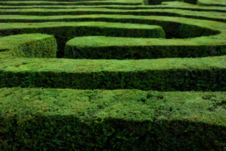 Maze of Hedges 92880105