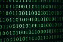 Green Binary Code H1B Fact Sheet