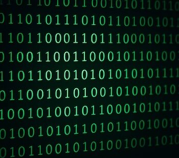 Green Binary Code H1B Fact Sheet