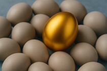 E-2 Treaty Investor and E-1 Treaty Trader, Golden Egg